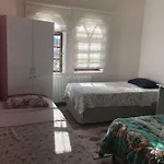 Loopy Lodge Hotel *