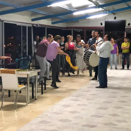 Loopy אכסניה אורגופ